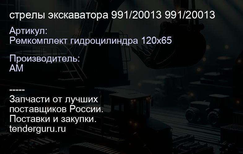 Ремкомплект гидроцилиндра 120х65 стрелы экскаватора 991/20013 991/20013 | купить запчасти